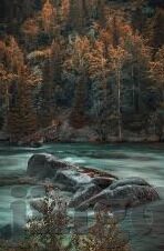 free麻豆av-探索免费麻豆AV现象及其影响下的社会思考