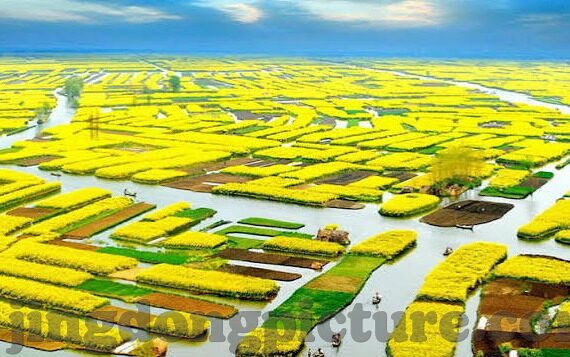 果冻传媒64部全集-探索果冻传媒64部全集的多元魅力与文化影响